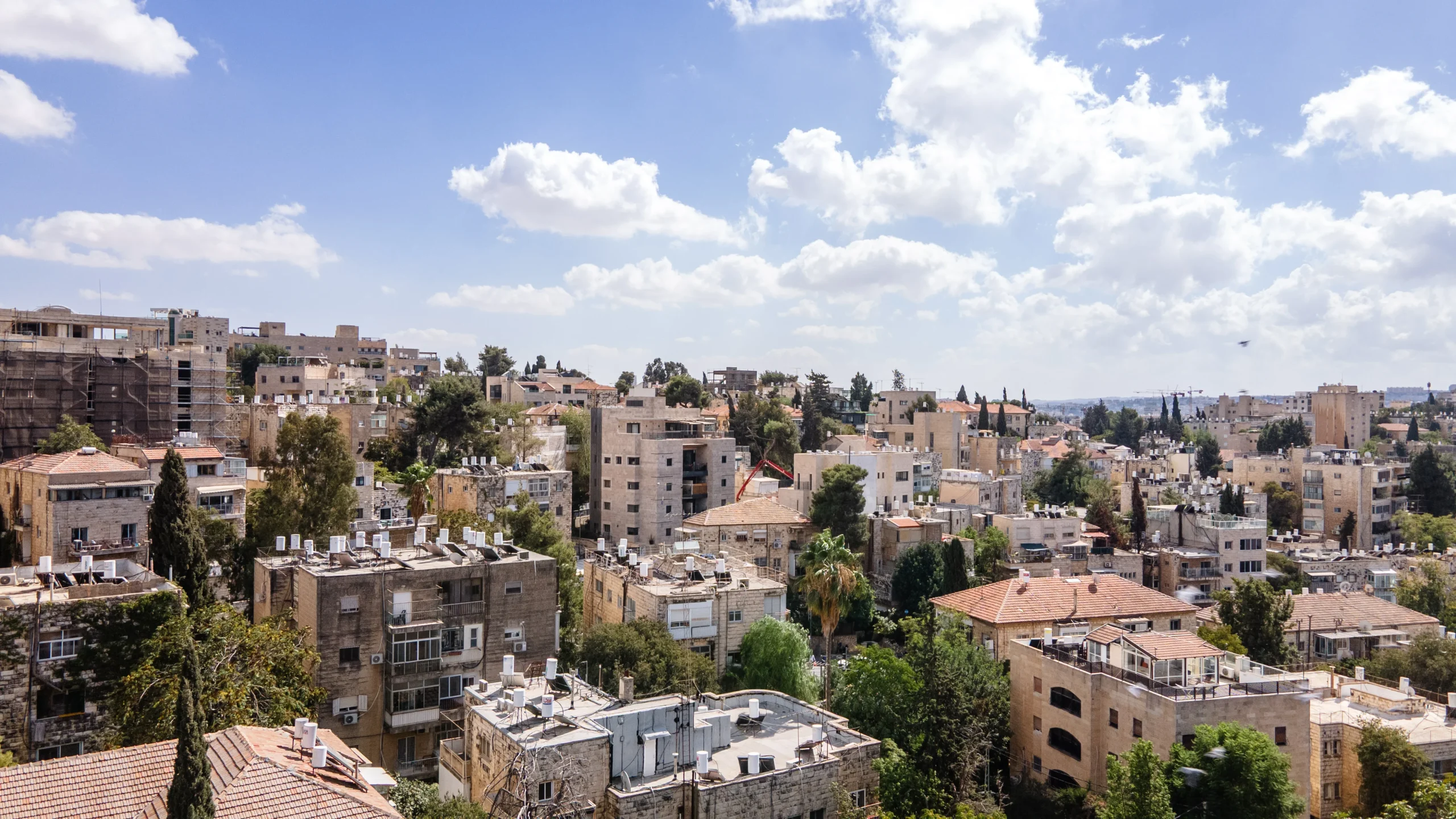 רחביה