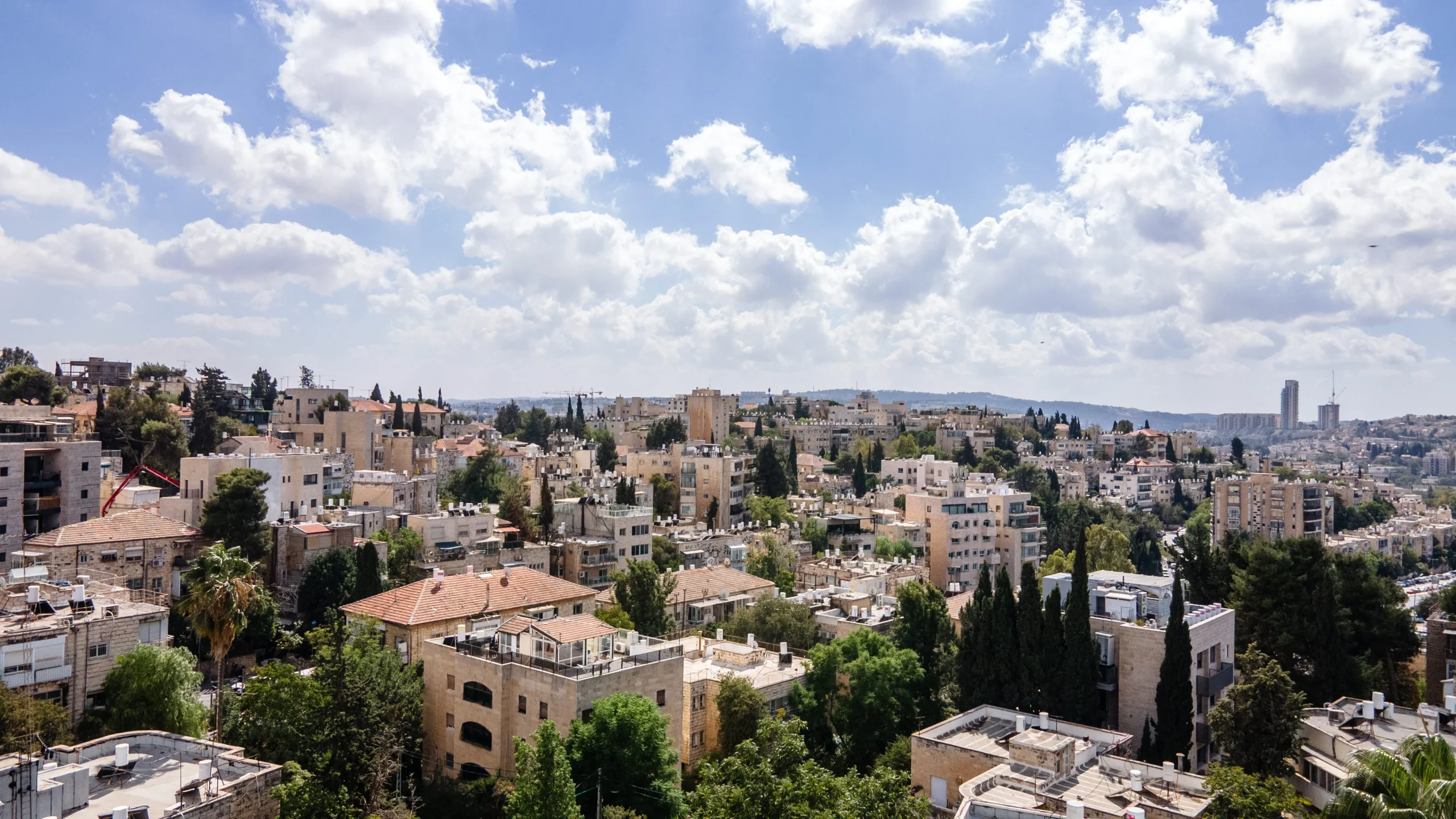 רחביה