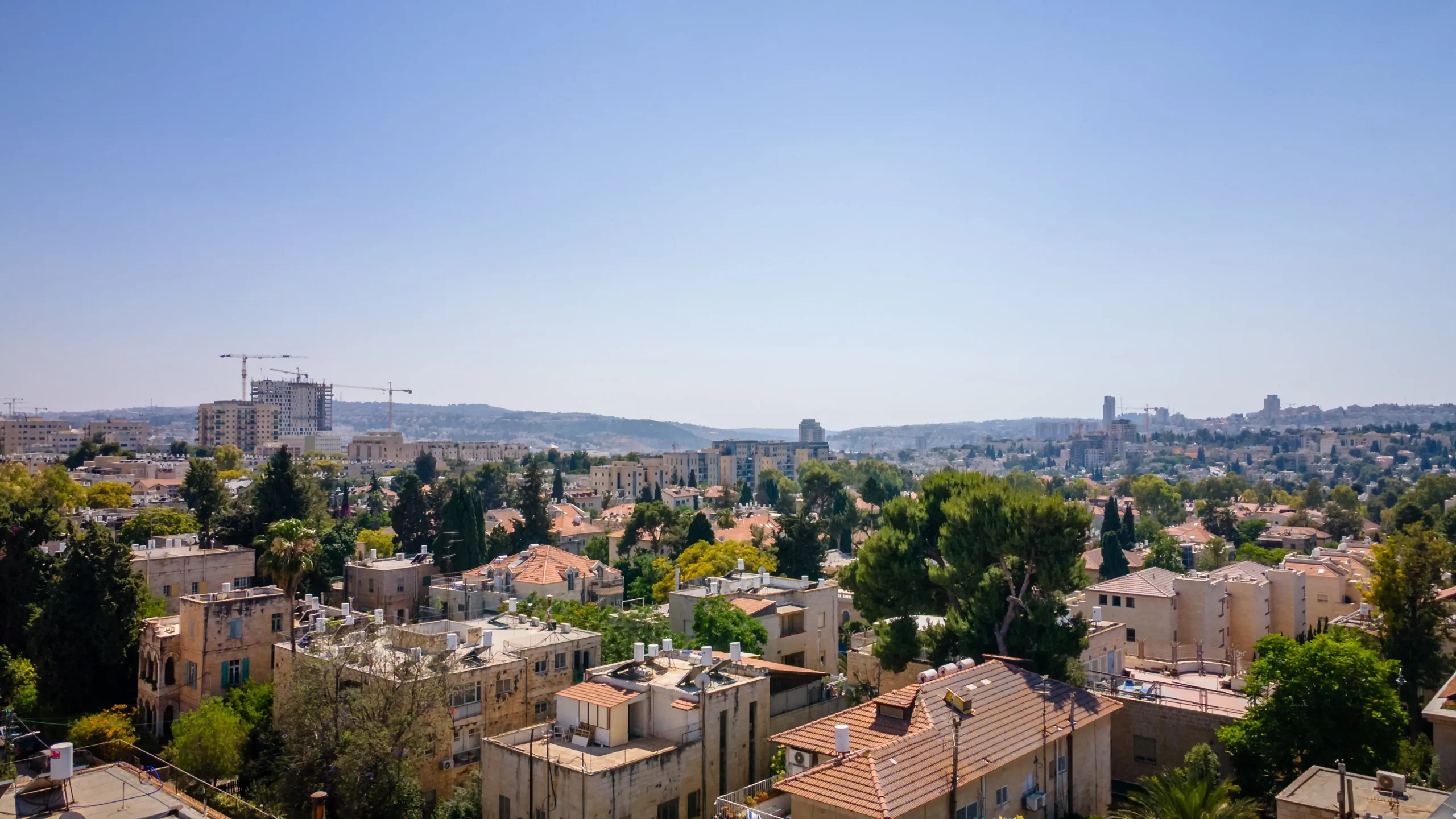 6 Ester Hamalka - View